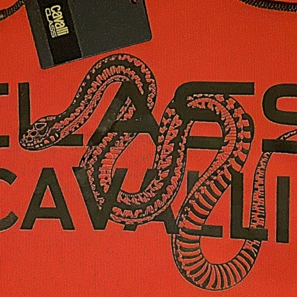 Men's CAVALLI CLASS Hoodie, Sz. 2X - Picture 3 of 3